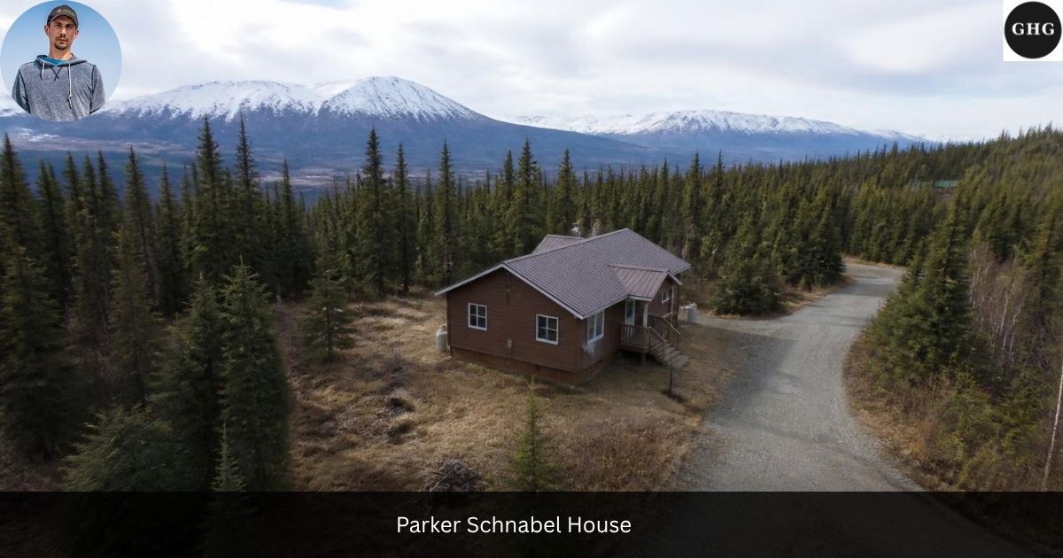 Aerial view of a rustic Alaska home near Haines, the reported Parker Schnabel house, with forest and mountains behind it